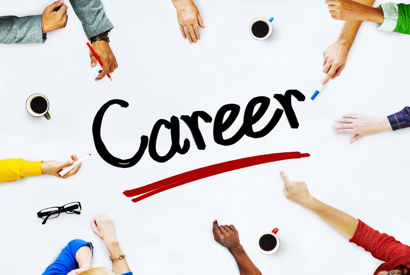 SoftwareDX career culture visual